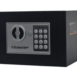 cfl230 8 2 01.jpg