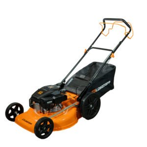 lq520b 2 web.jpg