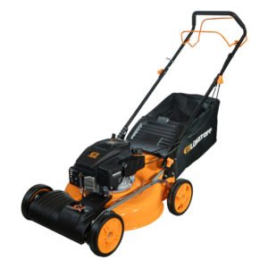 lq544 1 web.jpg